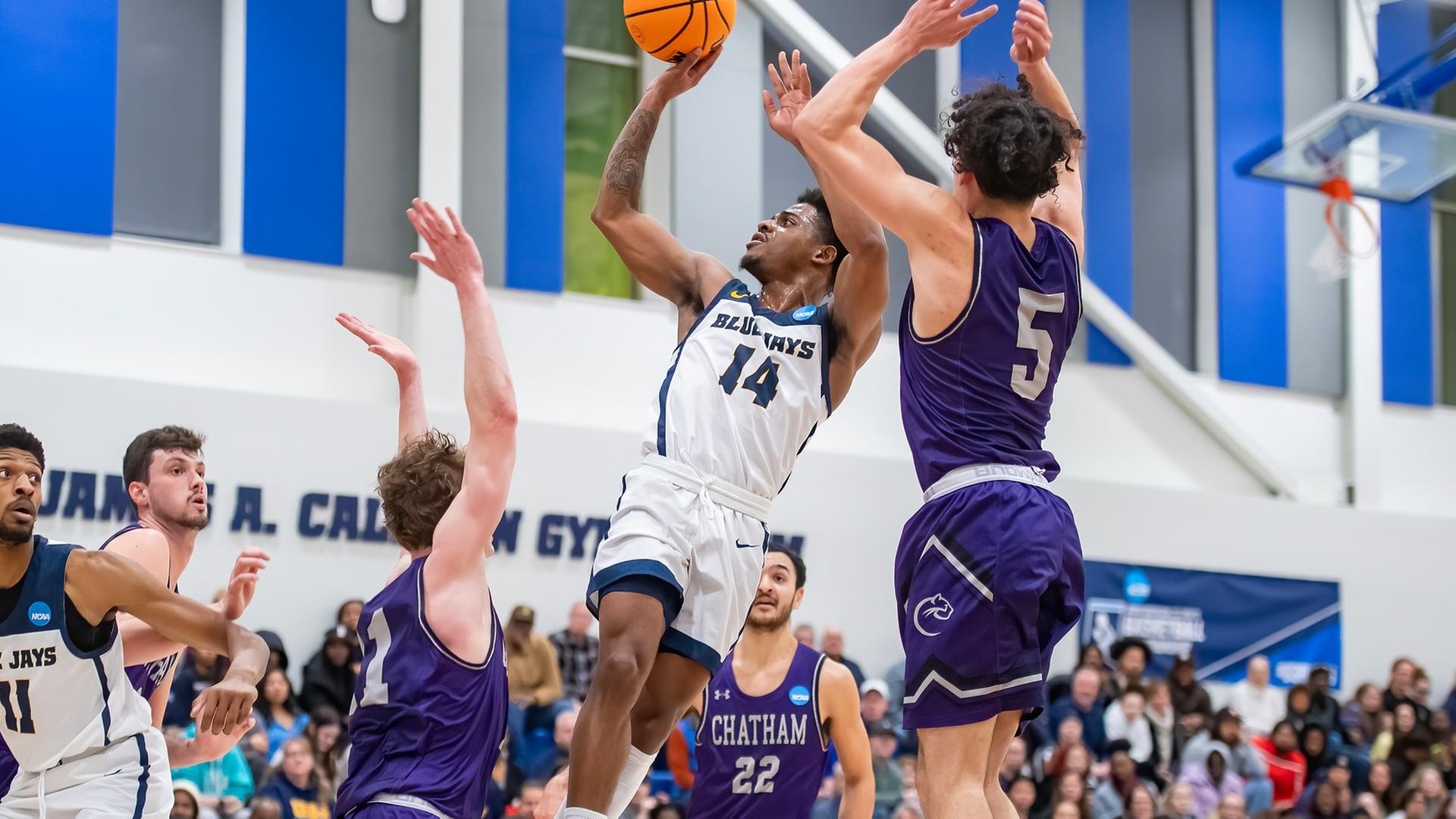 Men's Basketball Takes Down Chatham, 76-53, Advances to NCAA Second Round