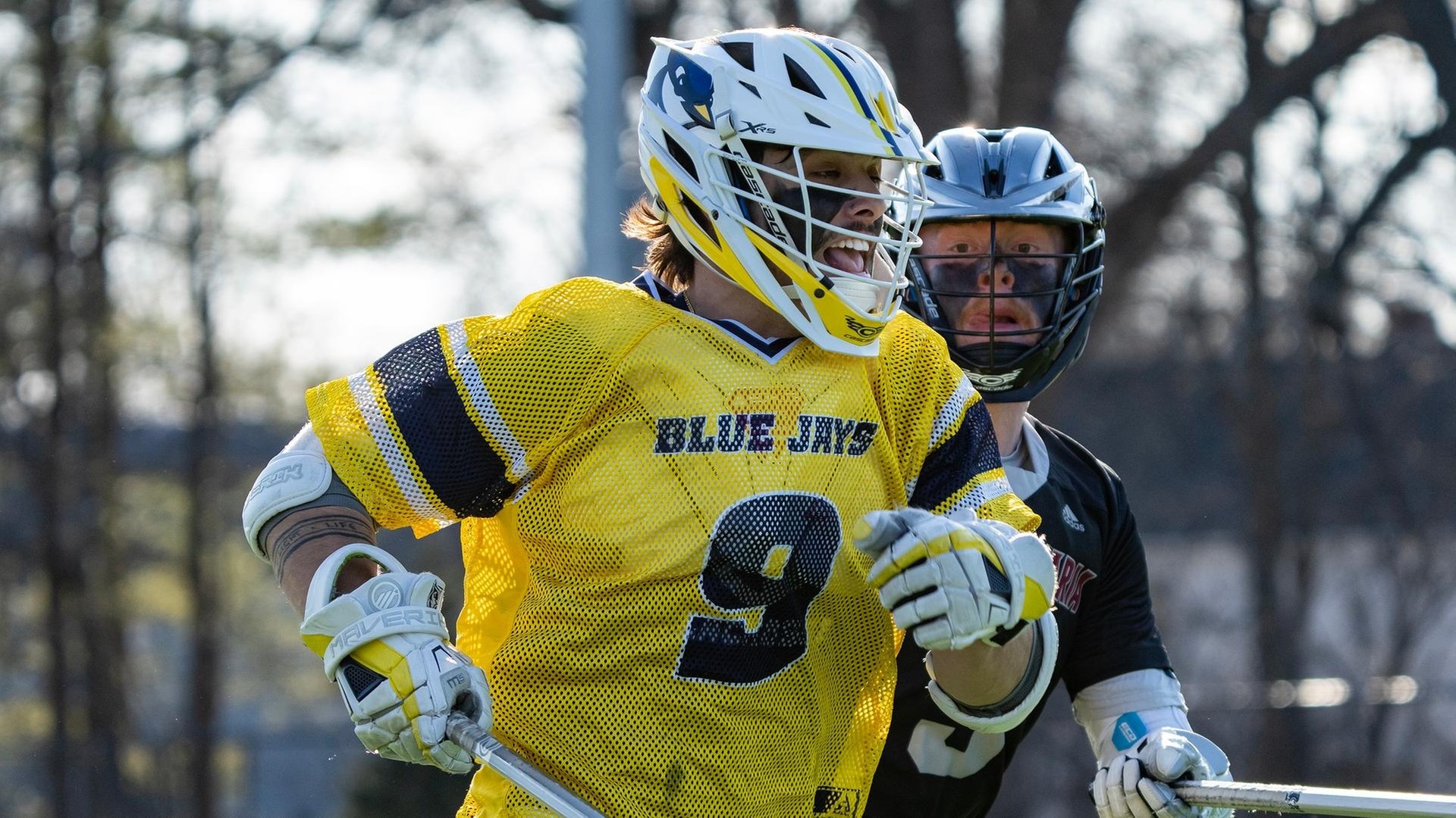 Men's Lacrosse Drops Road GNAC Matchup at Dean Tuesday Afternoon