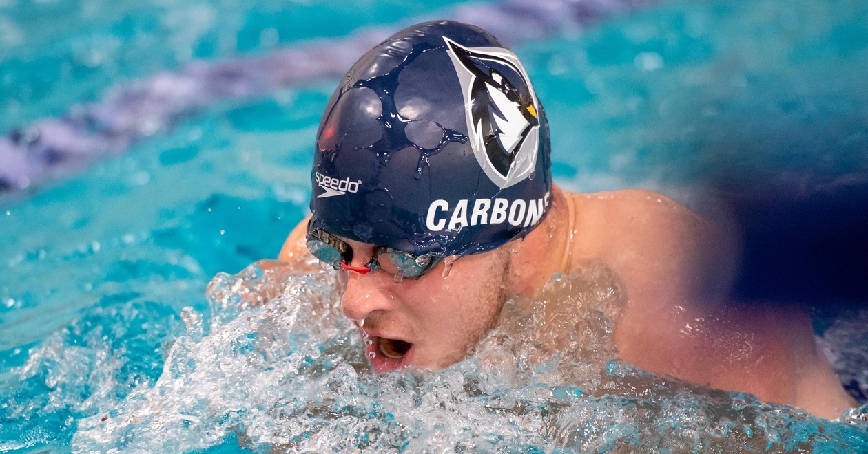 Men's Swimming & Diving Falls to Clark and Trinity