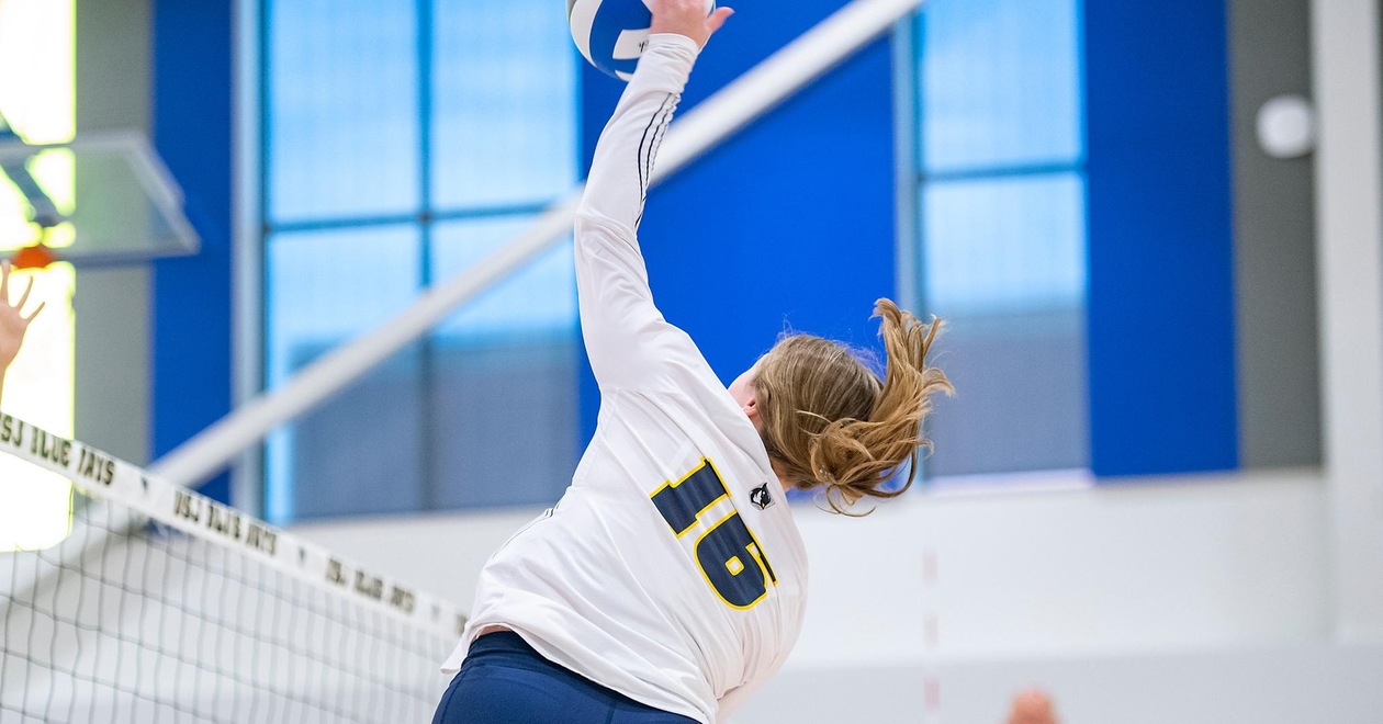 Volleyball Drops A Pair Of Matches Saturday