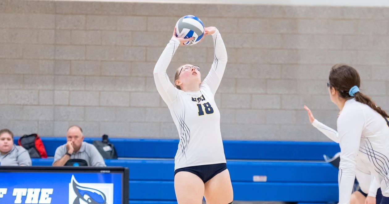 Volleyball Taken Down At Home By Conn College Wednesday